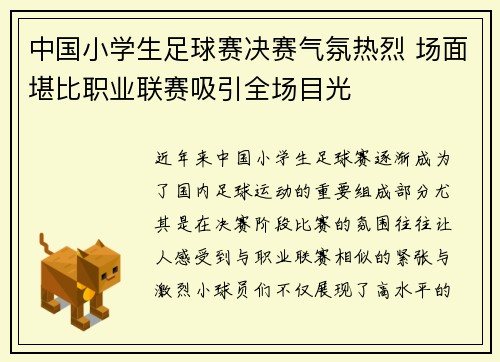 中国小学生足球赛决赛气氛热烈 场面堪比职业联赛吸引全场目光